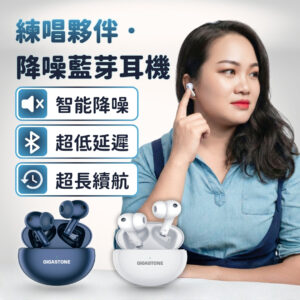 練唱夥伴．降噪藍芽耳機 (複製)